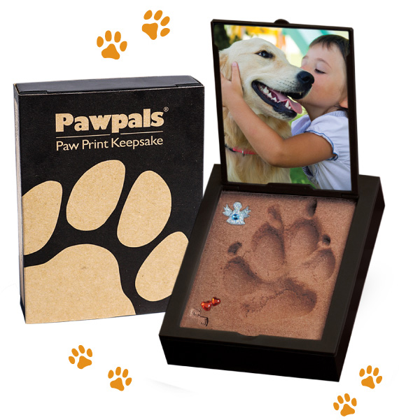 Pawprint'dog – Kit d'empreinte pour chiens – BADOGSHOP - CACHOU CONCEPT  STORE